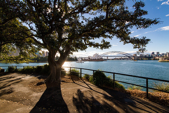 Harbour View